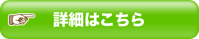 RentalCars.comi^J[YhbgRj̔TCg